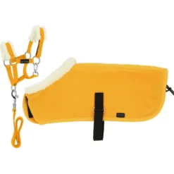 EQUITHÈME Pony Academy Showdeken Set Mini Geel