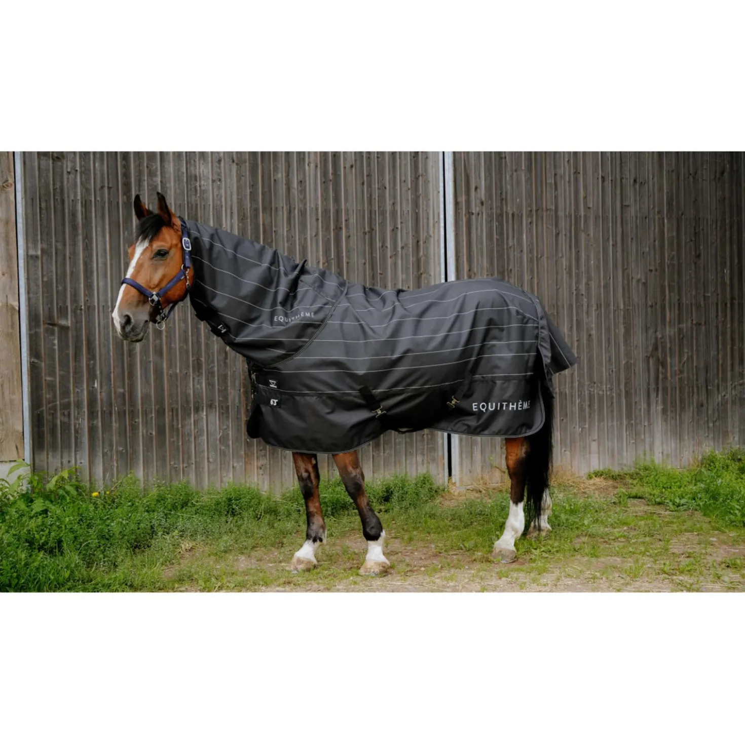 EQUITHÈME Regendeken Lumin 600D 50g Zwart