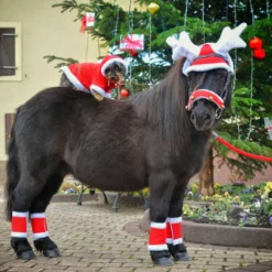 EQUITHÈME Rendiergewei Kerstmuts Rood