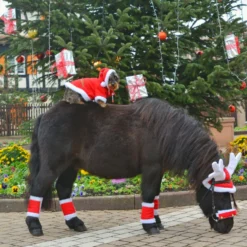 EQUITHÈME Rendiergewei Kerstmuts Rood