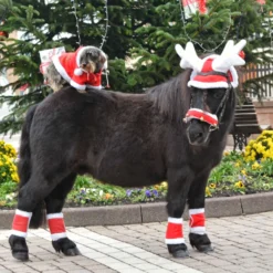 EQUITHÈME Rendiergewei Kerstmuts Rood