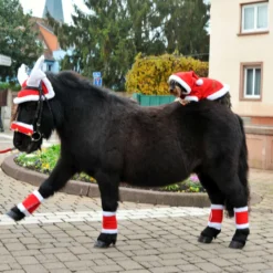 EQUITHÈME Rendiergewei Kerstmuts Rood