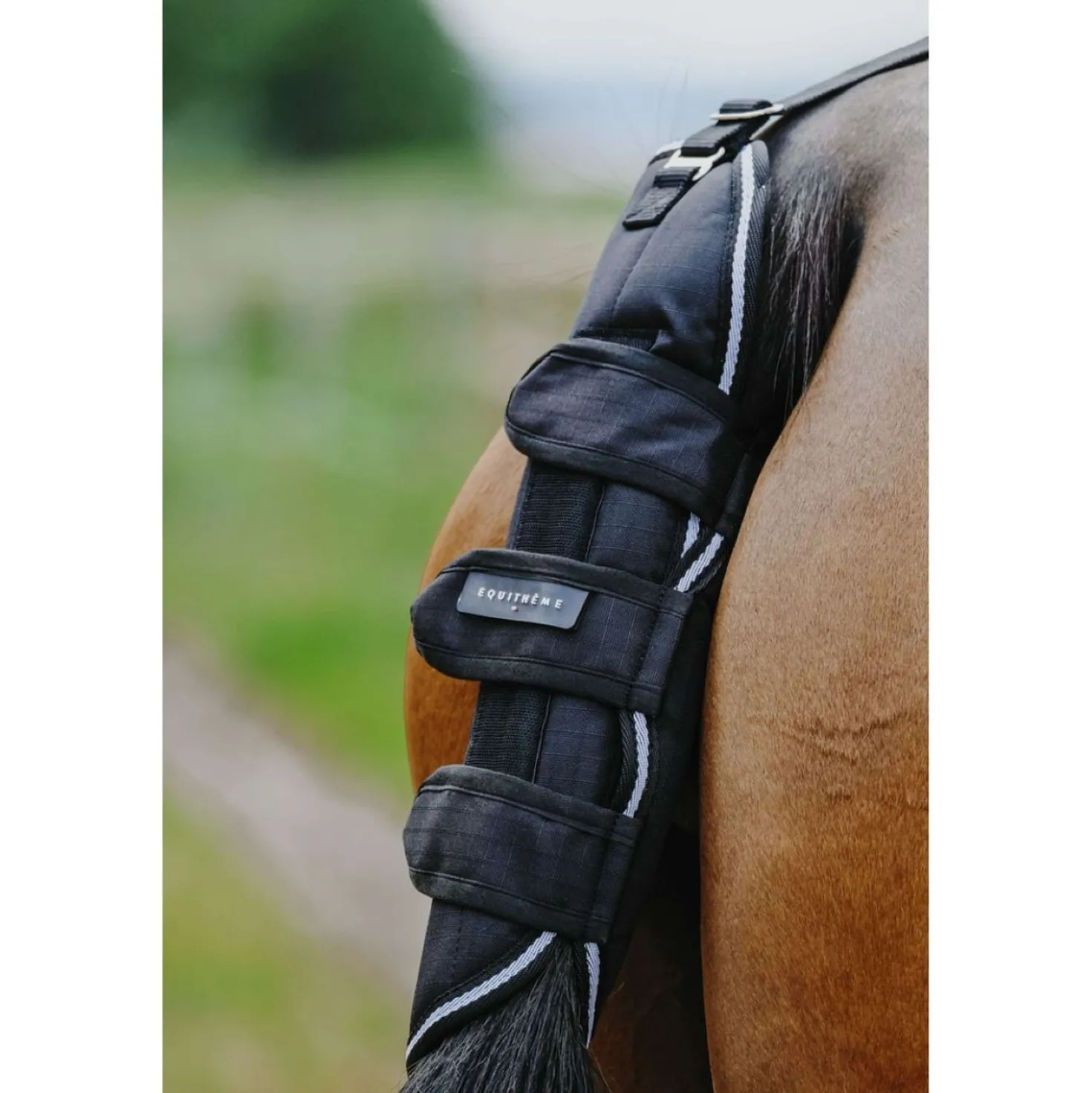 EQUITHÈME Staartbeschermer 600D Zwart