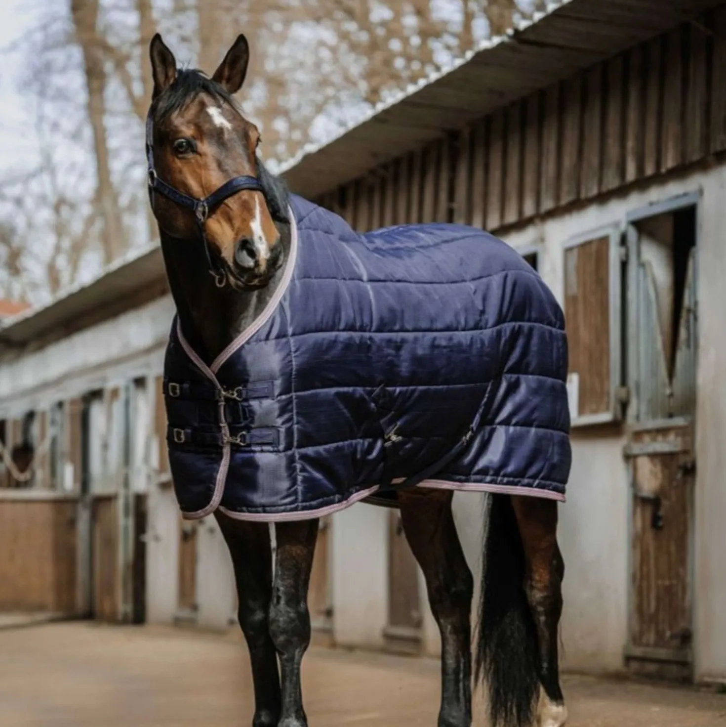 EQUITHÈME Staldeken Aztec 200gr Navy