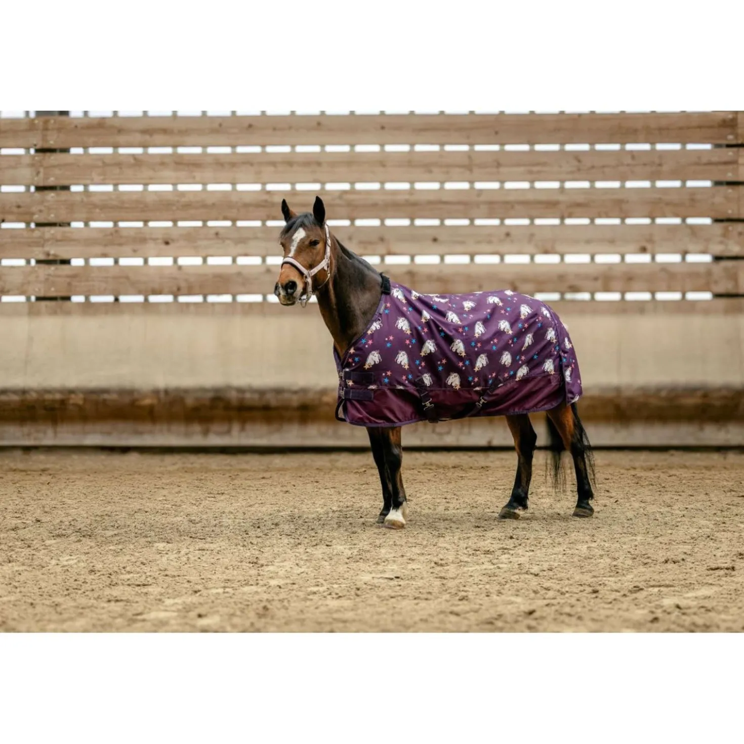 EQUITHÈME Turnout Deken Unicorn 600D 0g Plum