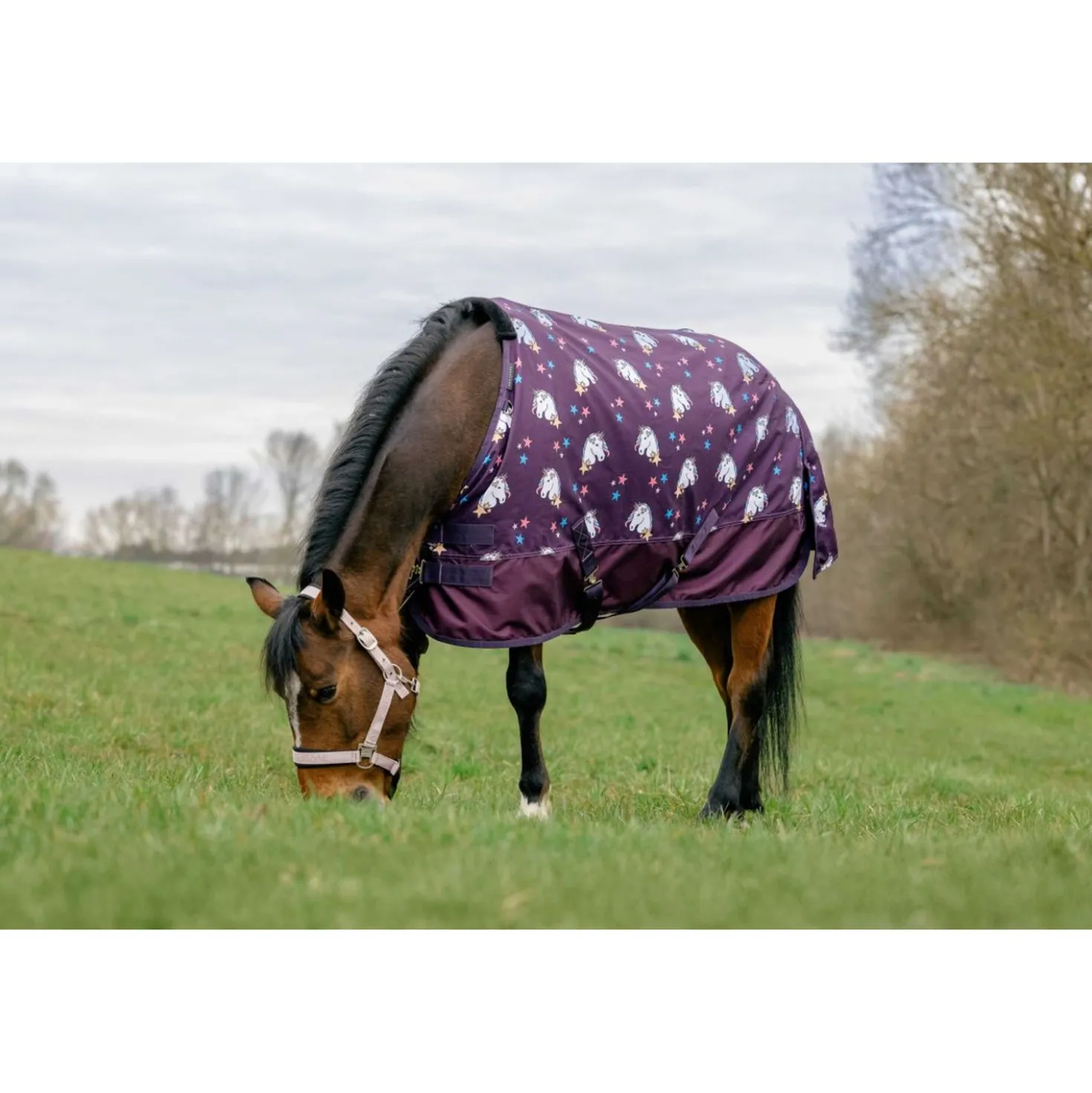 EQUITHÈME Turnout Deken Unicorn 600D 0g Plum