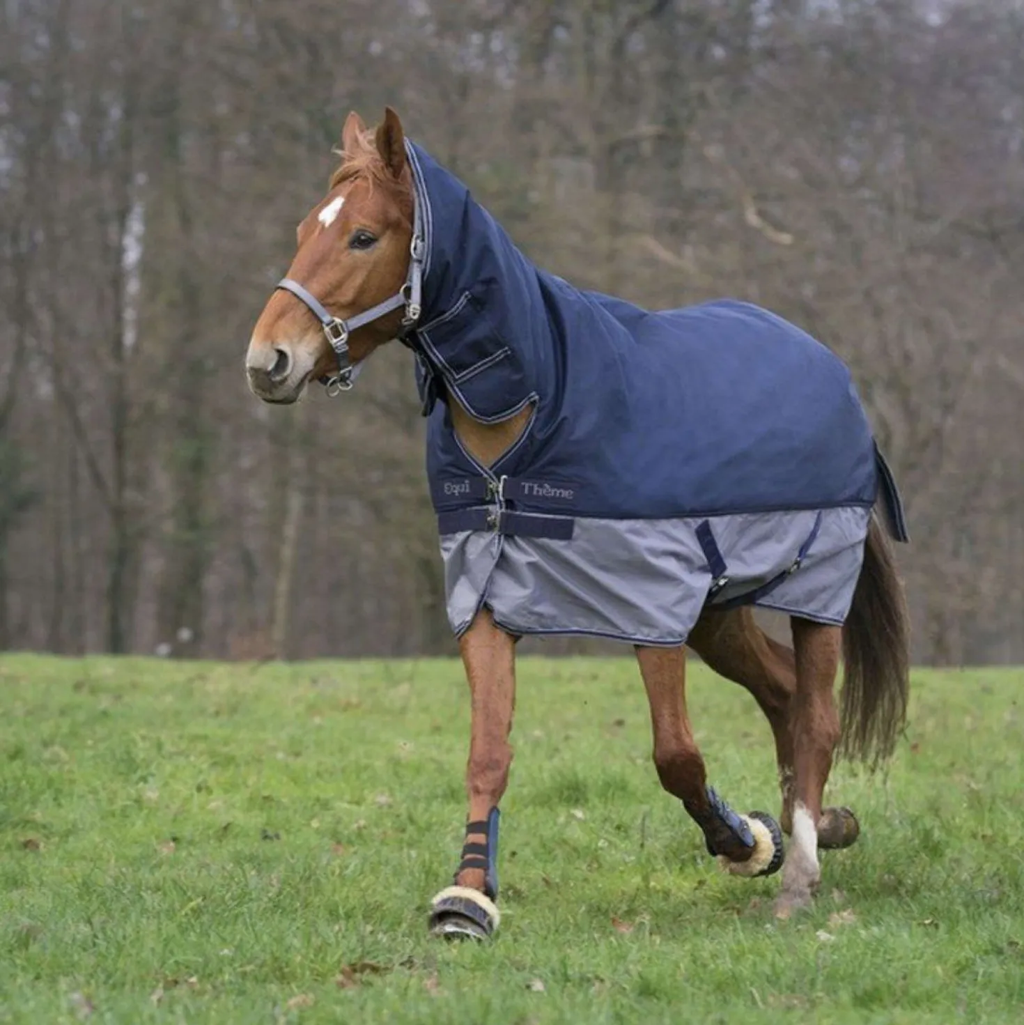 EQUITHÈME Turnout Rug Tyrex Combo 600D 350g Navy/Grijs Dots