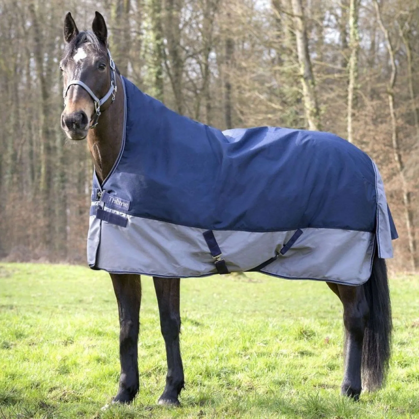 EQUITHÈME Turnout Rug Tyrex High Neck 600D 300g Navy/Grijs Dots