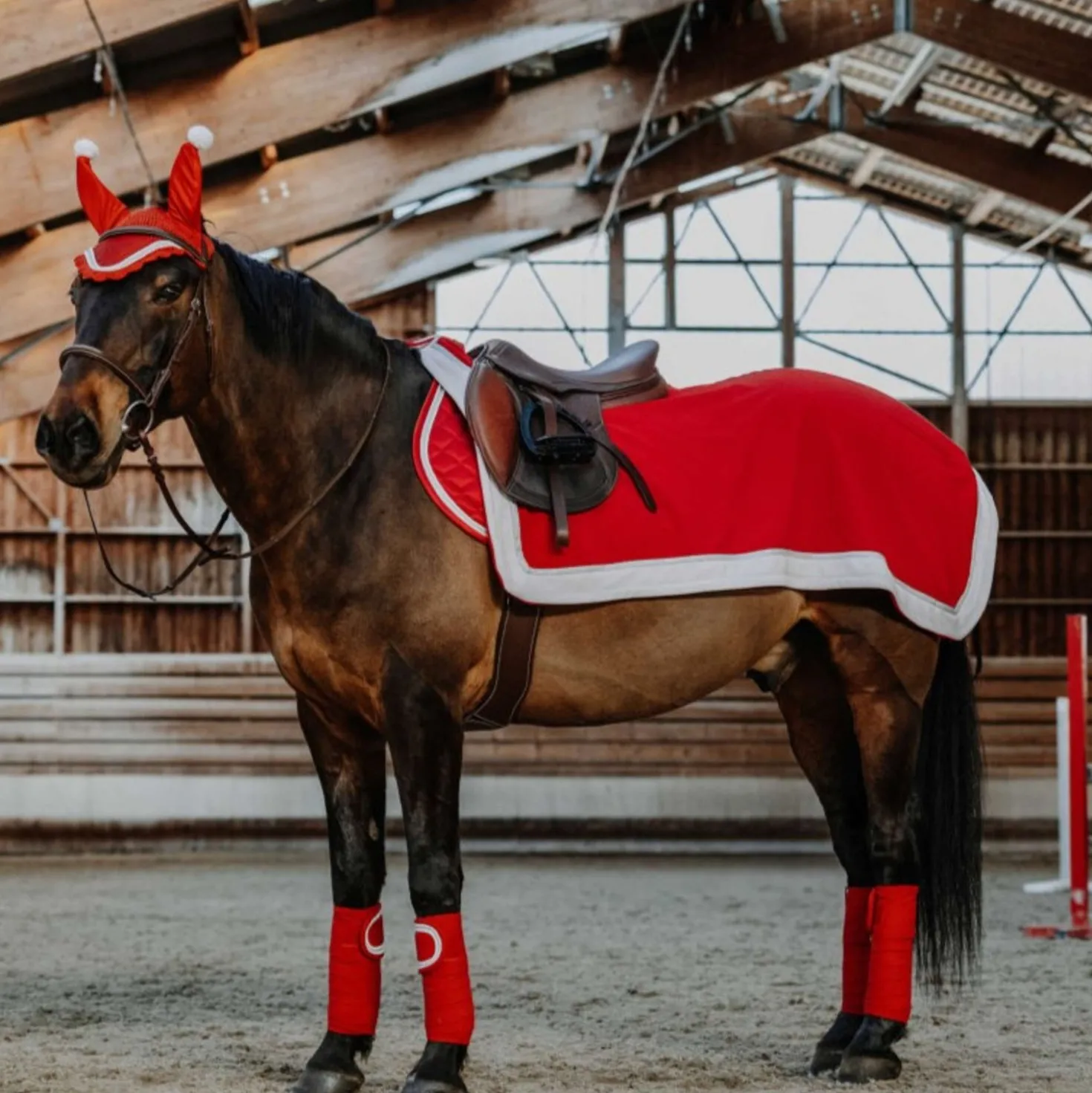 EQUITHÈME Uitrijdeken Kerst Rood