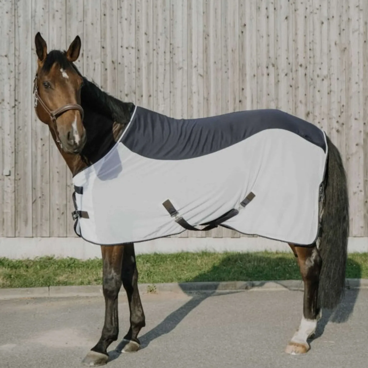 EQUITHÈME Vliegendeken Flycool Standard Navy/Wit