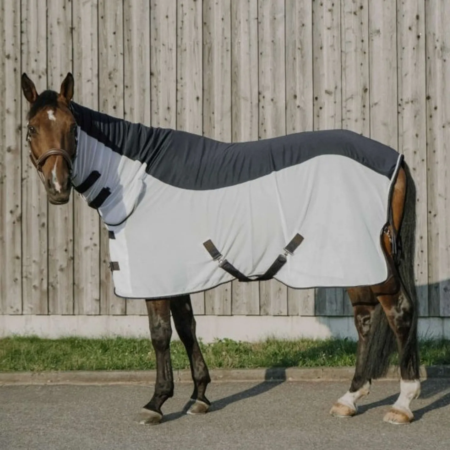 EQUITHÈME Vliegendeken Flycool Combo met Hals Navy/Wit