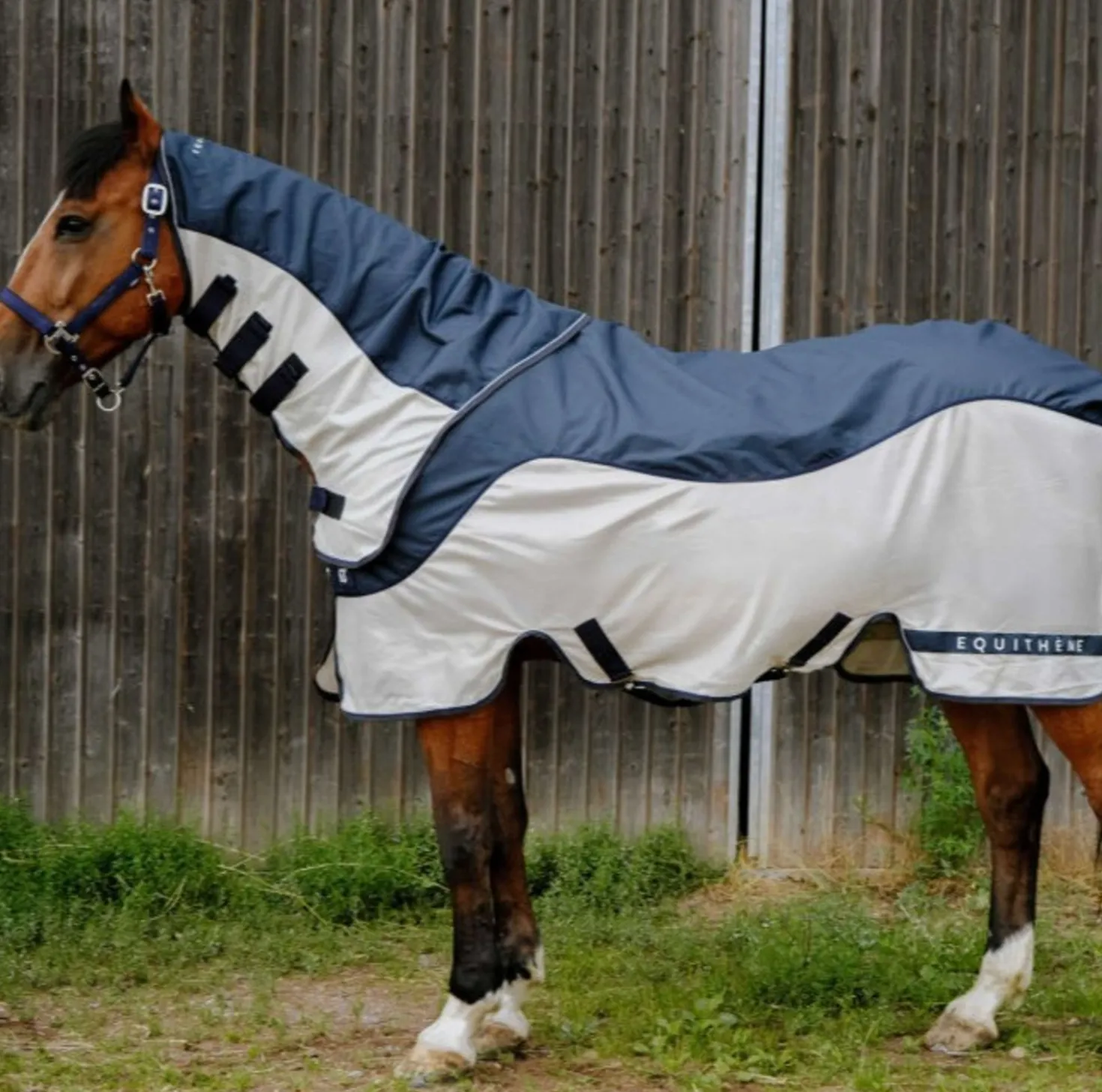 EQUITHÈME Vliegendeken TYREX Combofly 600D met Hals Navy Blue/Grey