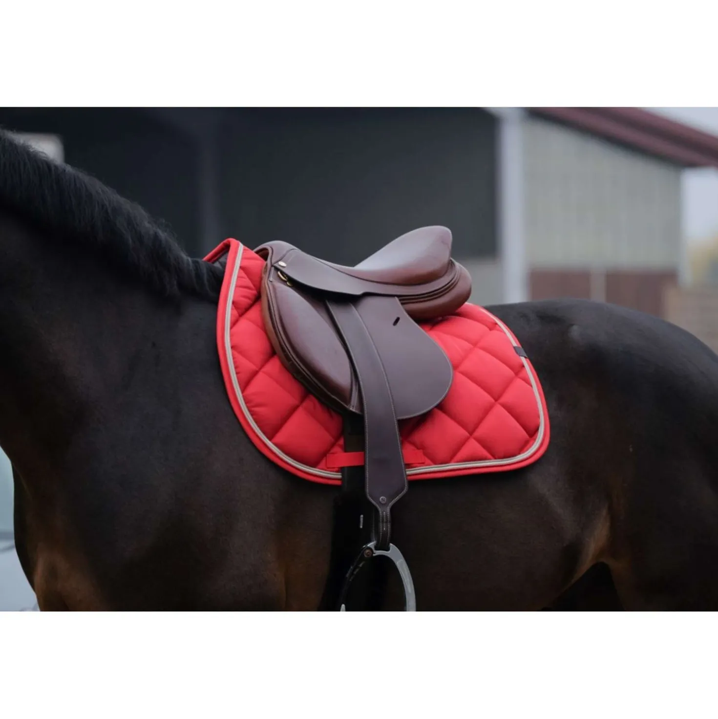 EQUITHÈME Zadeldekje Classic Springen Rood
