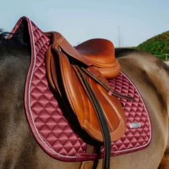 EQUITHÈME Zadeldekje Nacre Springen Bordeaux