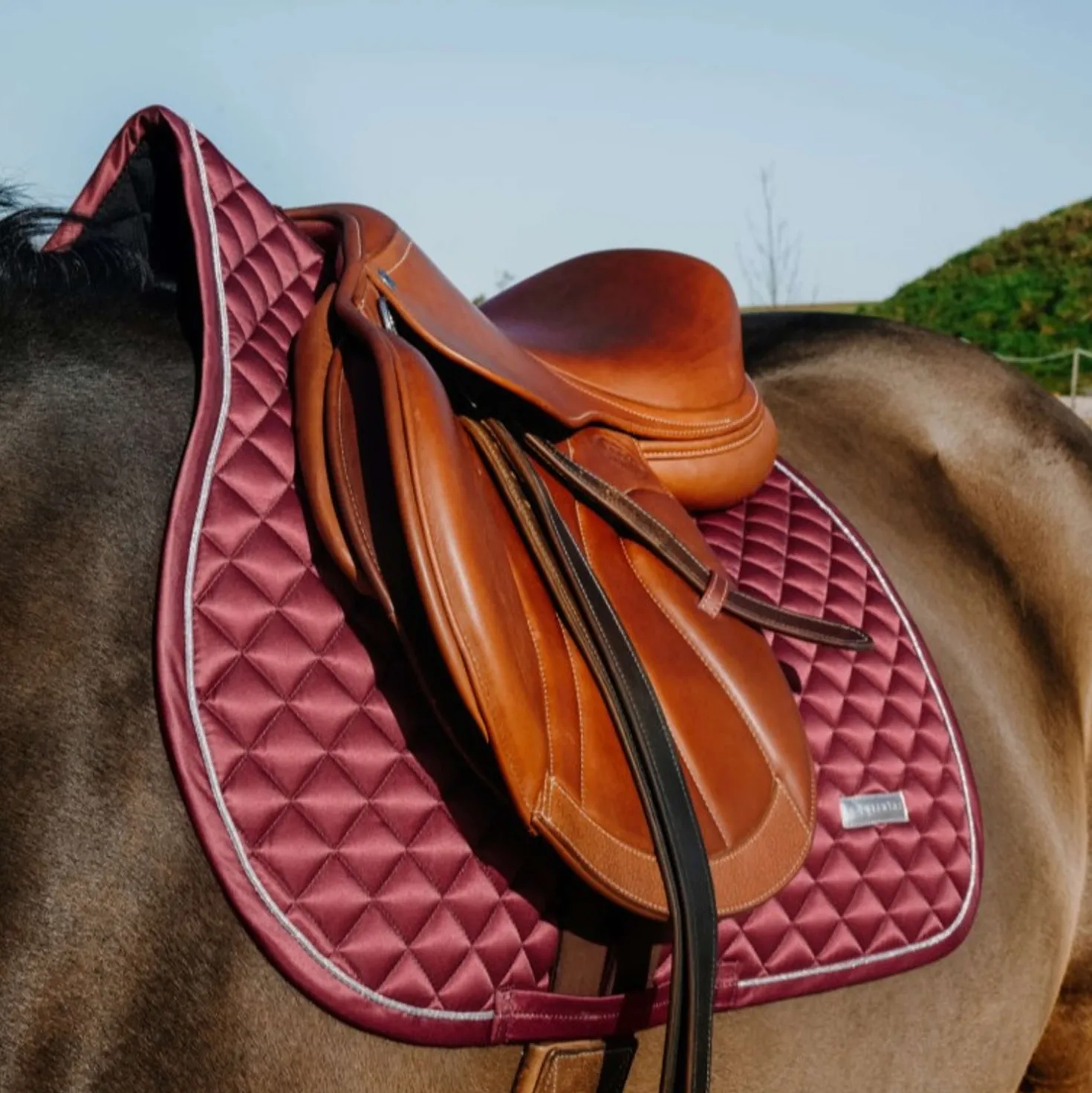 EQUITHÈME Zadeldekje Nacre Springen Bordeaux