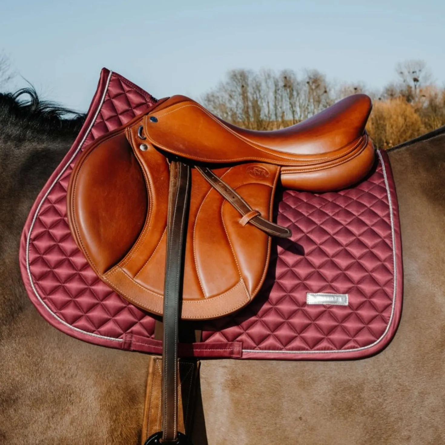 EQUITHÈME Zadeldekje Nacre Springen Bordeaux