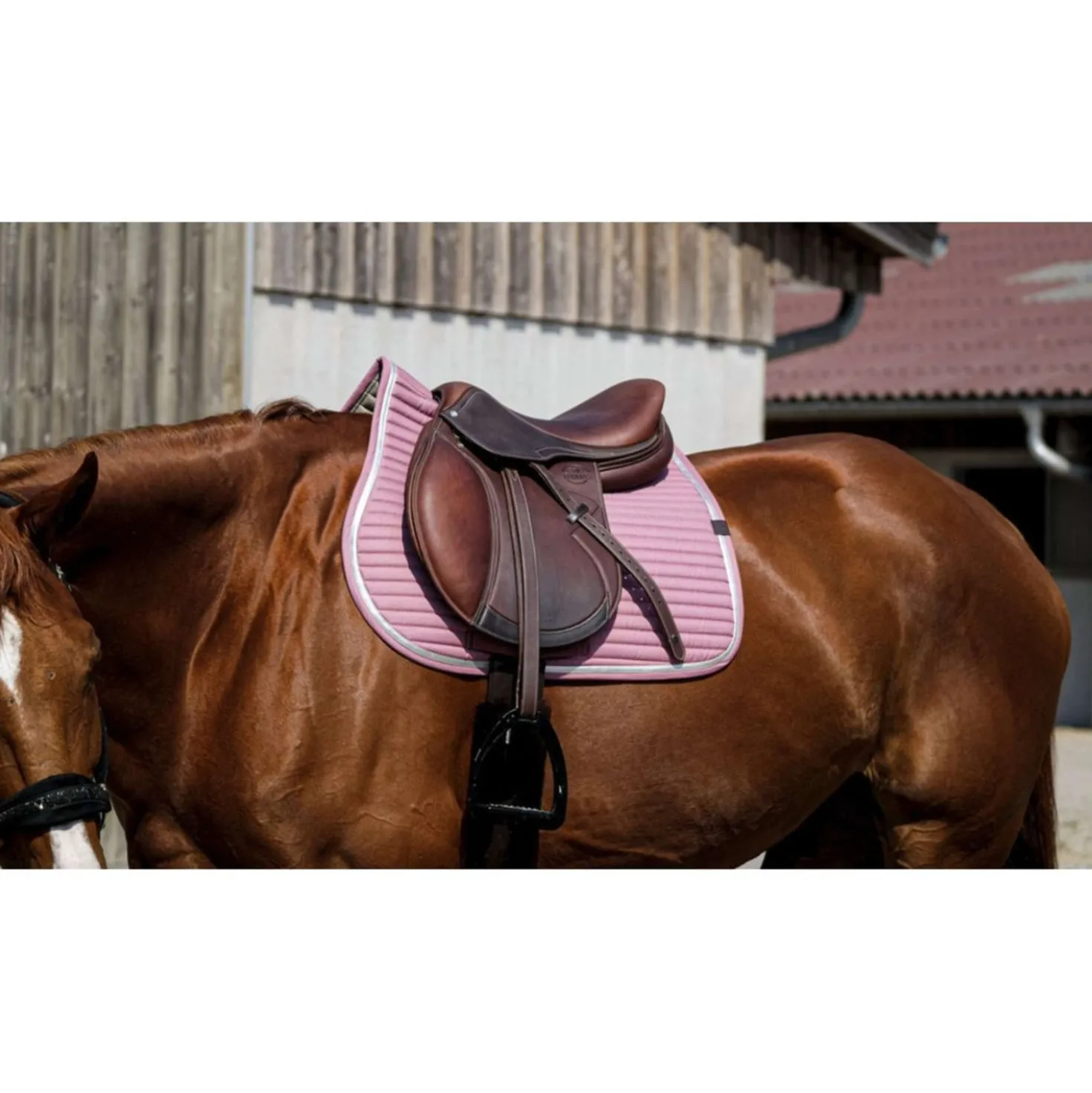 EQUITHÈME Zadeldekje Spring Springen Roze
