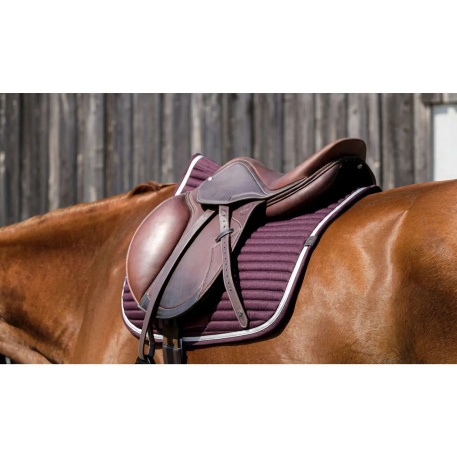 EQUITHÈME Zadeldekje Spring Springen Burgundy