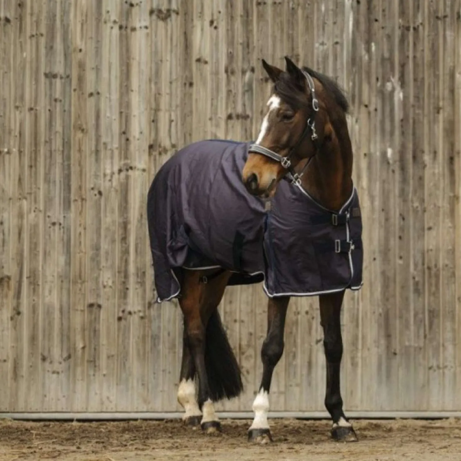 EQUITHÈME Zomerdeken Vague Navy
