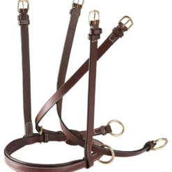 Eric Thomas Neusriem Pro Bitloos Havanna