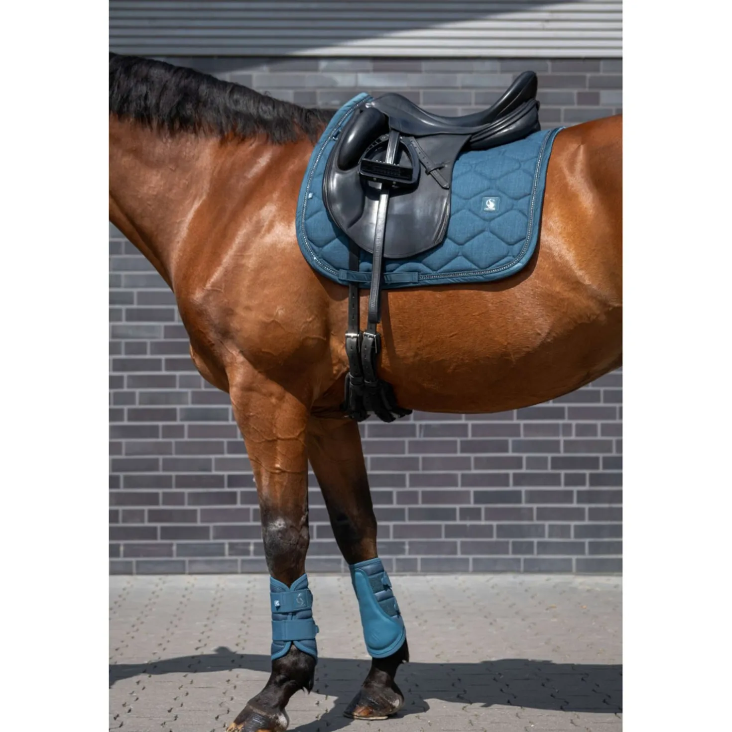 Eskadron Dressage Boots Classic Sports Mesh Ocean