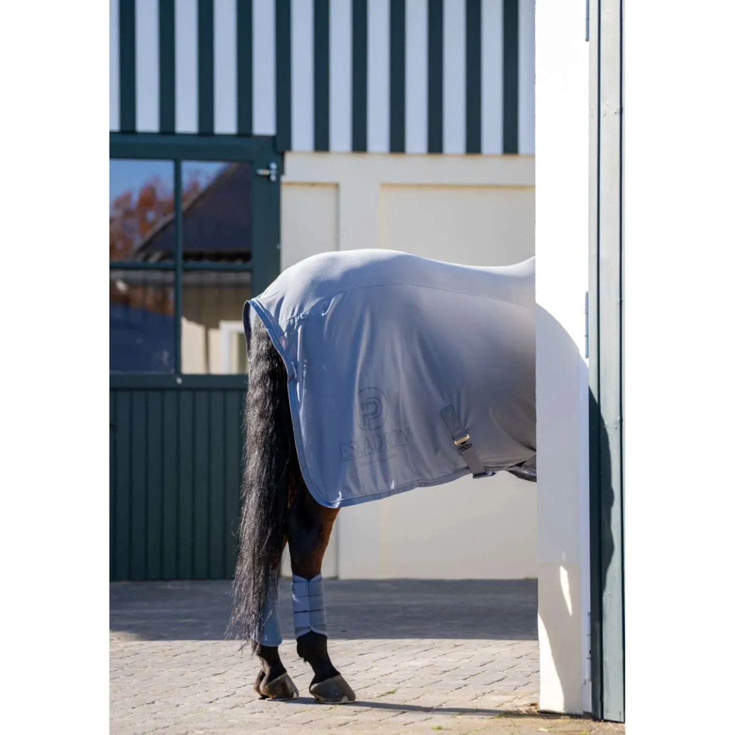 Eskadron Dressage Boots Platinum '26 Mesh Pale Grey