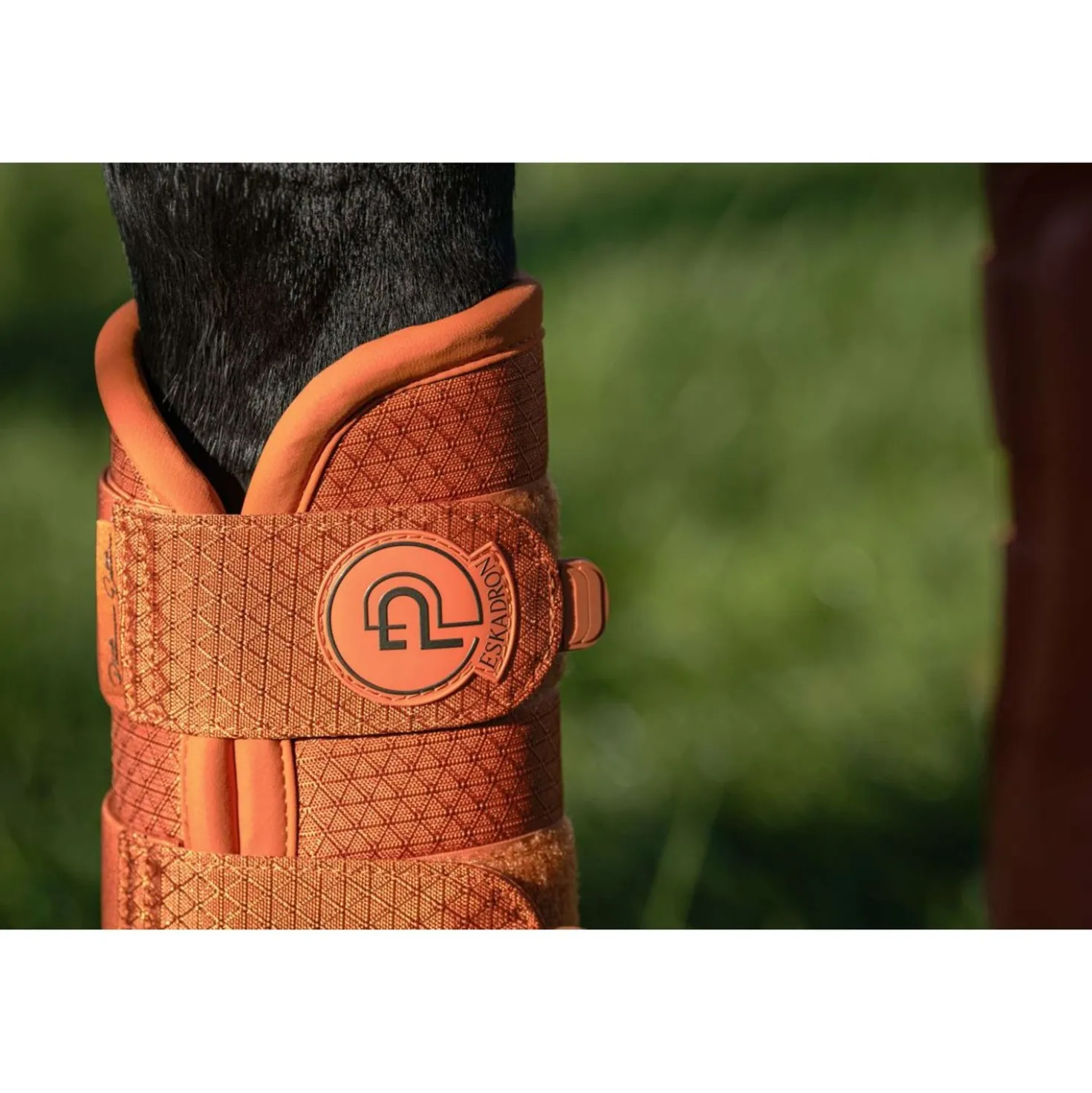 Eskadron Dressage Boots Platinum '26 1200D Sparkle Amber