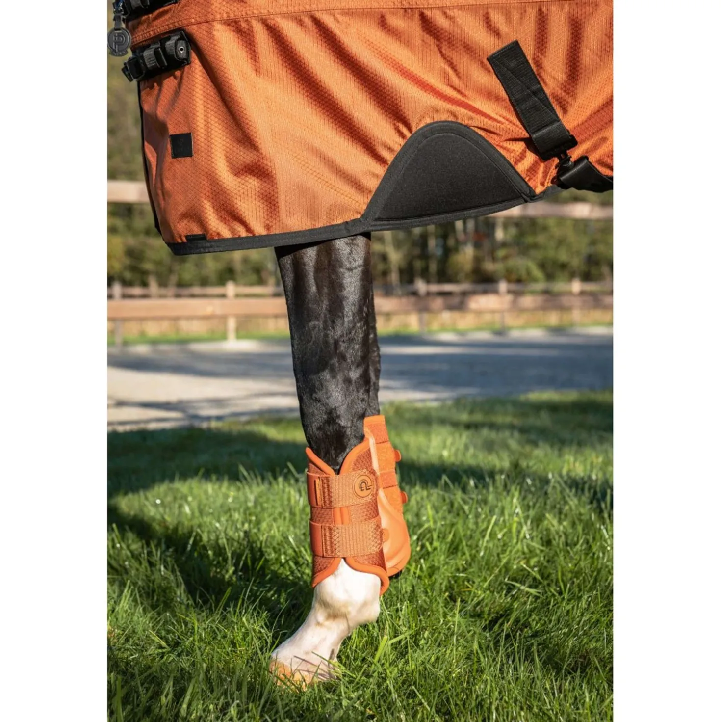 Eskadron Dressage Boots Platinum '26 1200D Sparkle Amber