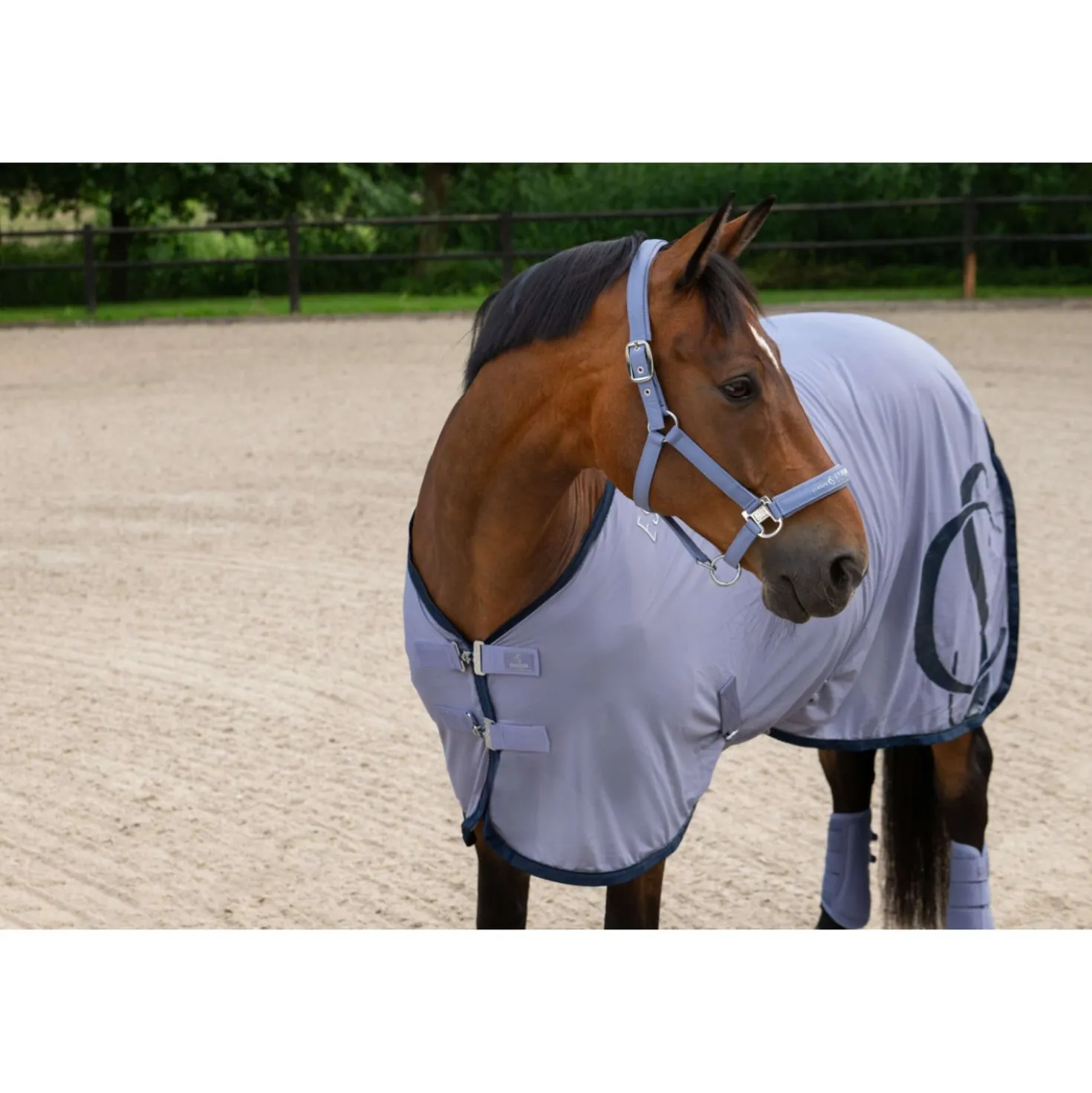 Eskadron Halster Classic Sports Sparkle Orchid