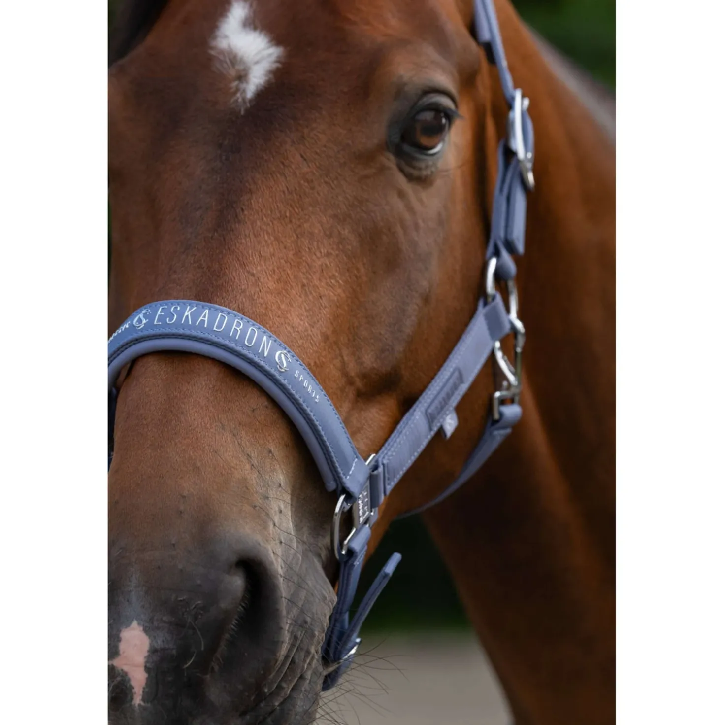 Eskadron Halster Classic Sports Sparkle Orchid