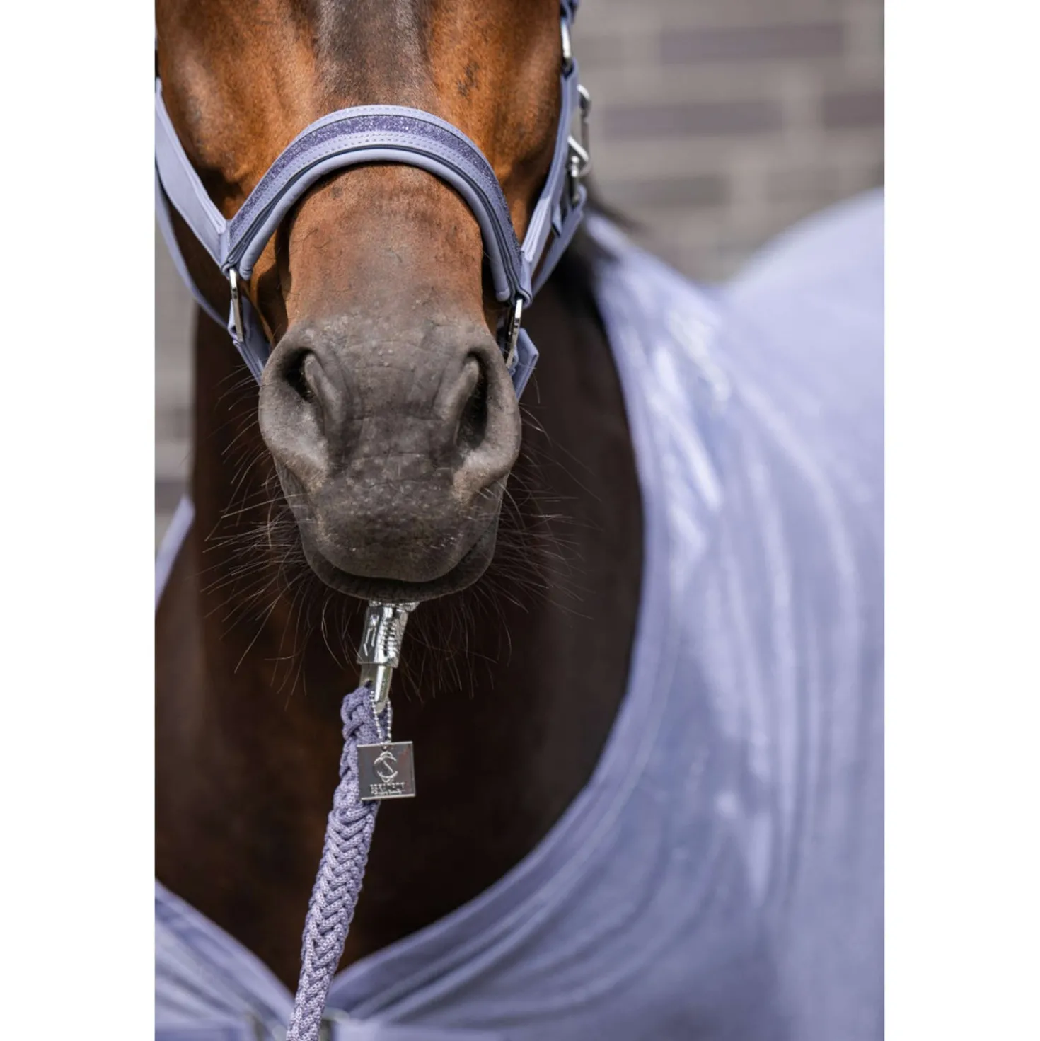Eskadron Halster Classic Sports Softshell Jewel Orchid