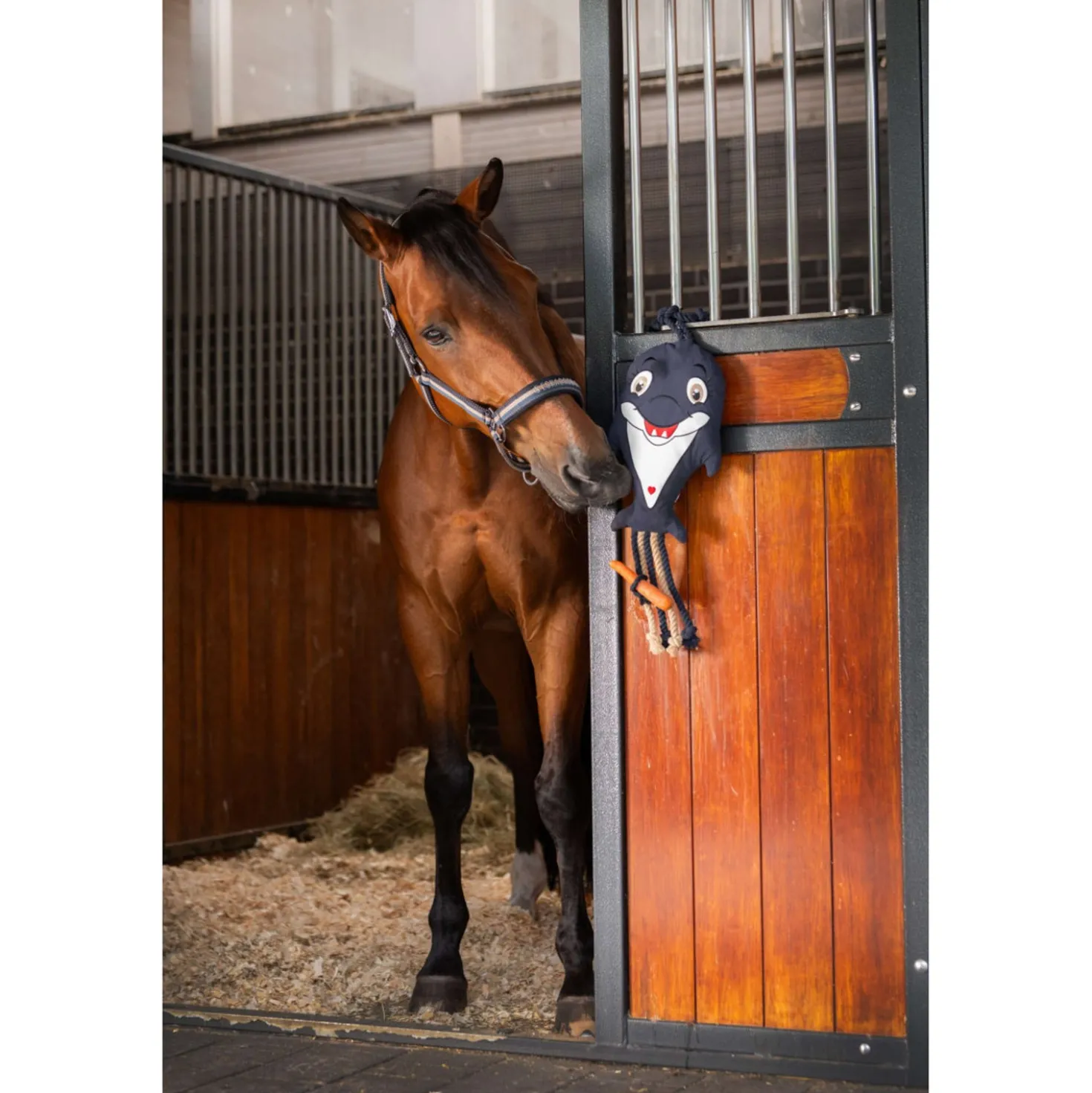 Eskadron Halster Classic Sports Double Pin Ocean/Sierra/Navy