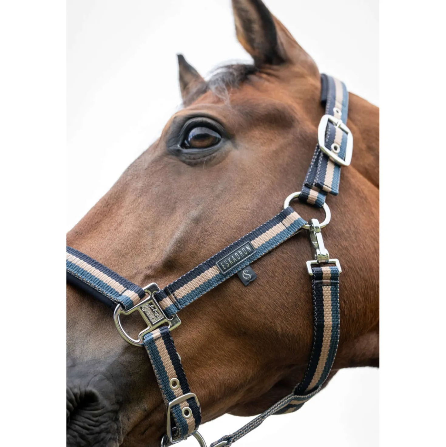 Eskadron Halster Classic Sports Double Pin Ocean/Sierra/Navy