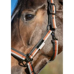 Eskadron Halster Platinum '26 Garth Light Double Pin Black/Pale/Amber