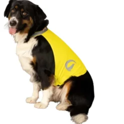 Excellent Dog Safety Vest Nightwalk Geel