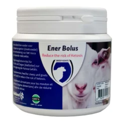 Excellent Ener Bolus Schaap & Geit