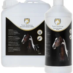Excellent Equi Total Balance