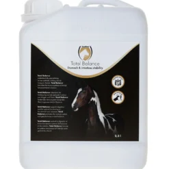 Excellent Equi Total Balance