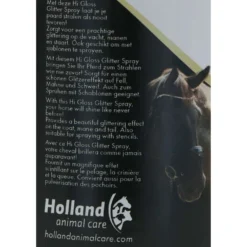 Excellent Glitter Spray Hi Gloss Zilver