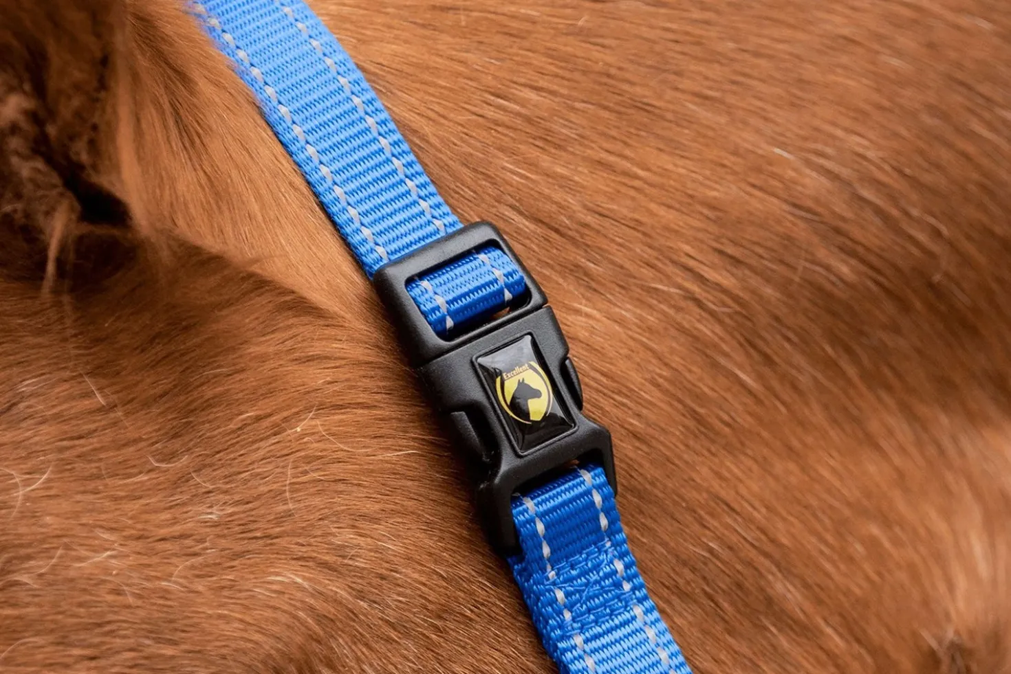 Excellent Halster Superior Blauw