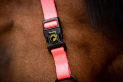 Excellent Halster Superior Roze