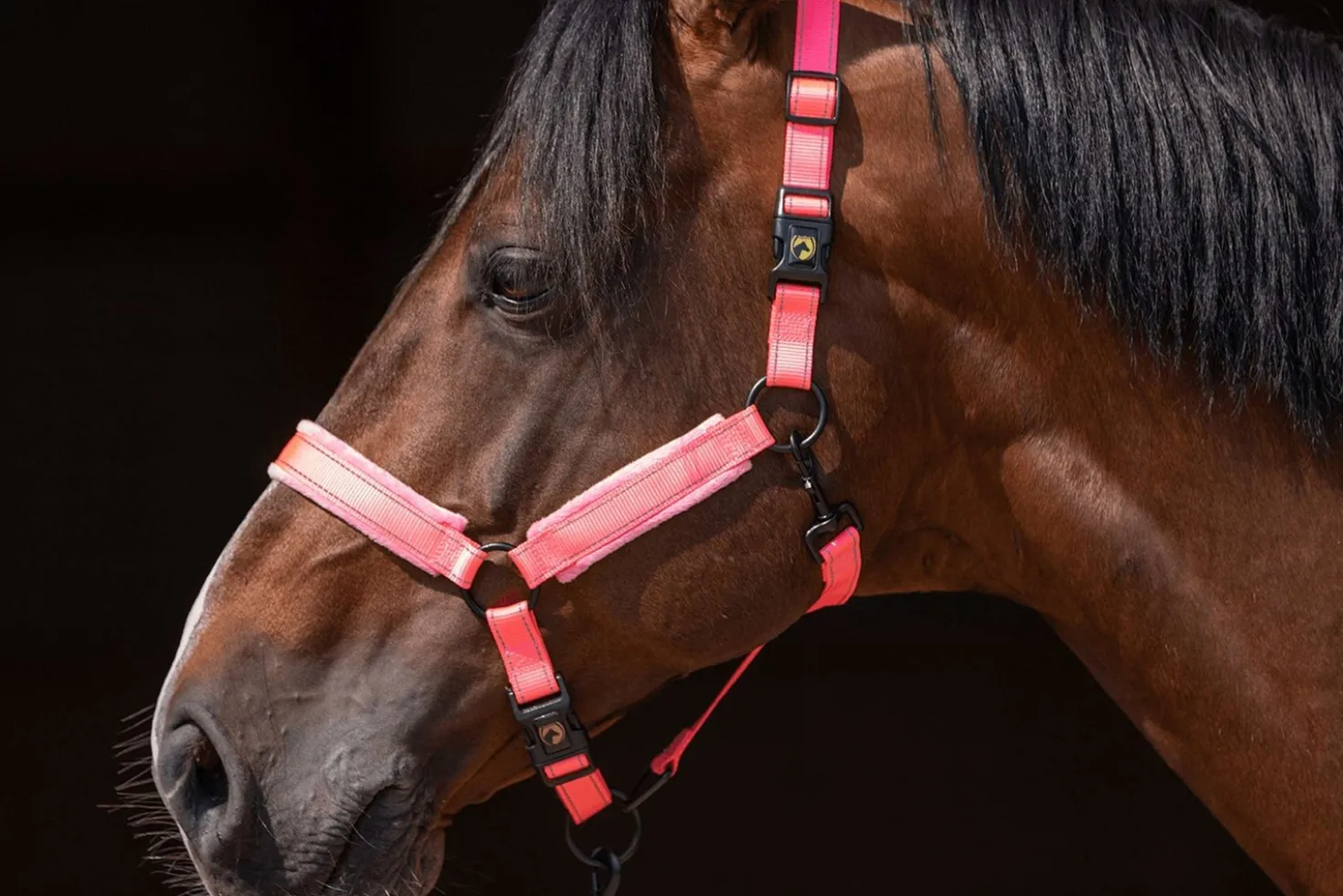 Excellent Halster Superior Roze