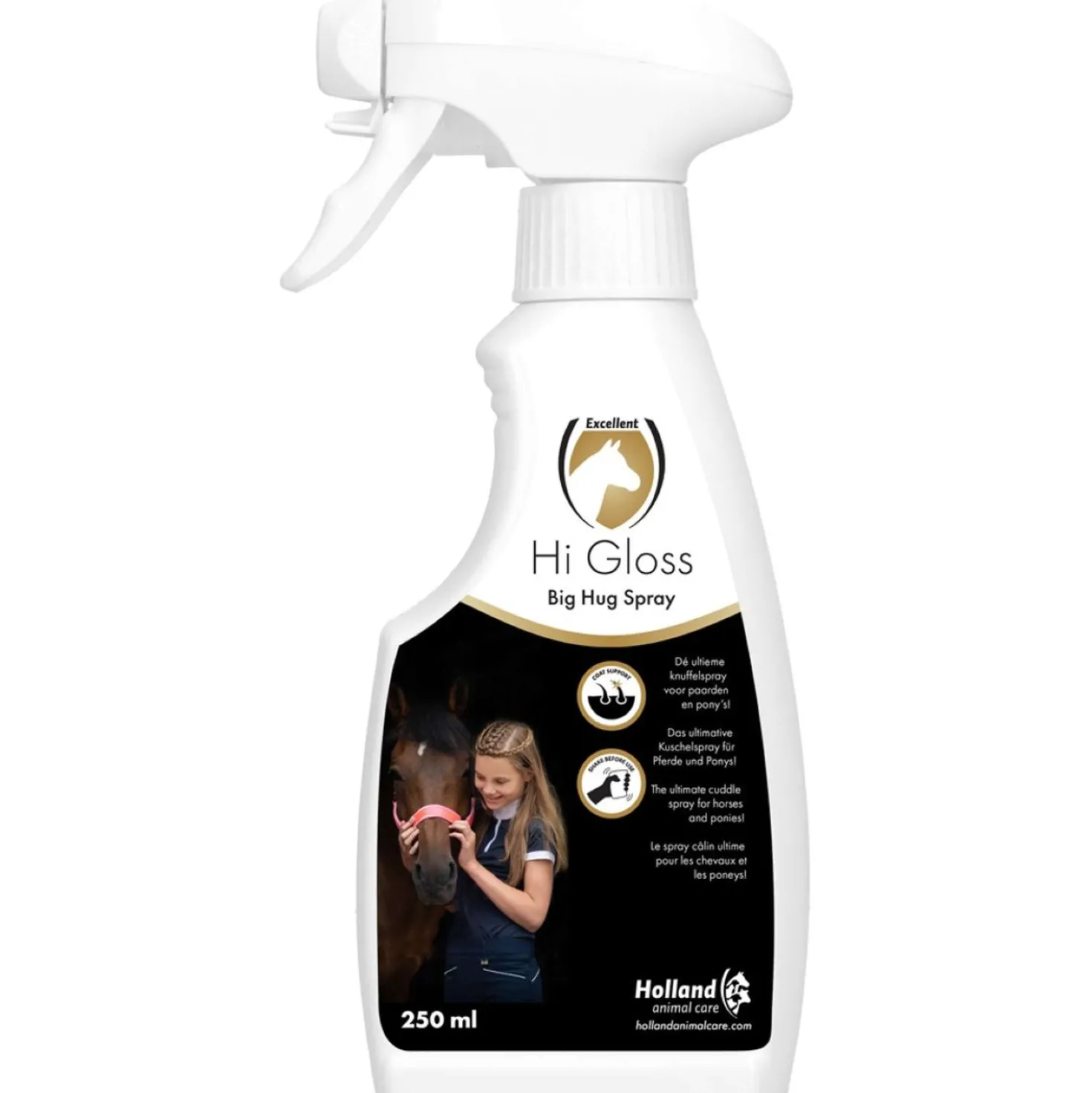 Excellent Hi Gloss Spray Big Hug
