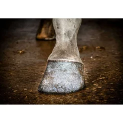 Excellent Hoeflak Hi Gloss Glitter Zilver