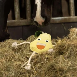 Excellent Horse Foodie Friends Pear