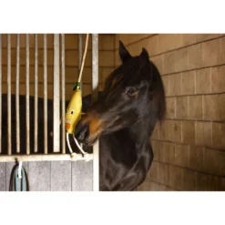Excellent Horse Foodie Friends Pear