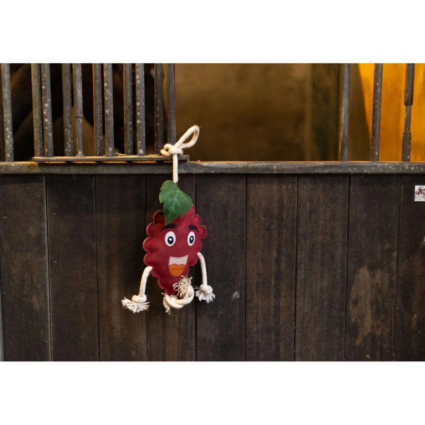 Excellent Horse Foodie Friends Raspberry