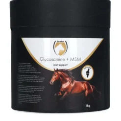 Excellent Joint Support Glucosamine + MSM
