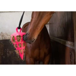 Excellent Slowfeeder Fun and Flex Wortel Roze