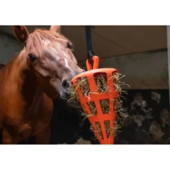 Excellent Slowfeeder Fun and Flex Wortel Oranje